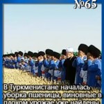 065thumb