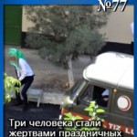 077thumb