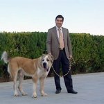 2017_11_16_berd_dog_alabay_03