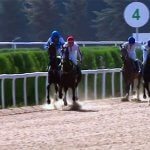 2018_09_28_skachki_horses_ippodrom_08