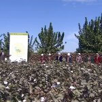 2018_10_16_hlopok_cotton_tv_05