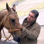 2018_12_02_horse_05