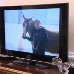 2018_12_02_horse_book_03
