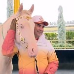 2019_02_03_bicycle_horse_05