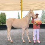 2019_02_03_bicycle_horse_06