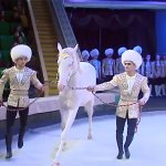 2019_02_17_ruhubelent_horse_03