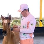 2019_03_04_horse_01