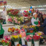 2019_03_09_8_marta_bazar_flowers_01