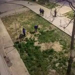 2019_03_14_lawnmower_04