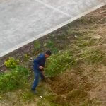 2019_03_14_lawnmower_11