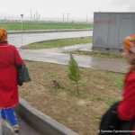 2019_03_21_novruz_07