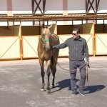 2019_03_28_makarov_bike_areti_09