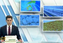 Сменился директор телерадиоканала «Ýaşlyk»