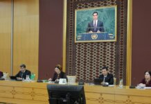 Туркменистан и ЕС обсудили укрепление верховенства права и обеспечение гендерного равенства