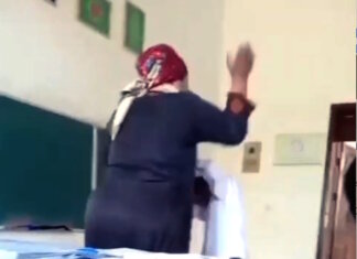 Школьная жизнь