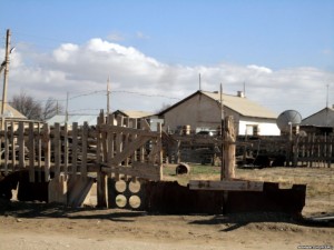Фото: Радио Азатлык