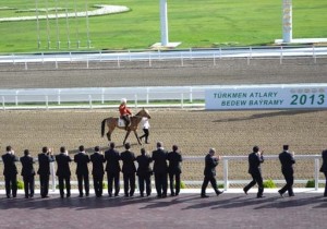 Horse_Turkmanistan_290413_09