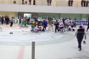 hockey1