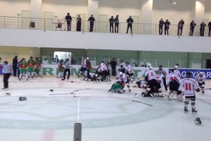 hockey2