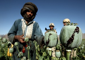 mak_afg